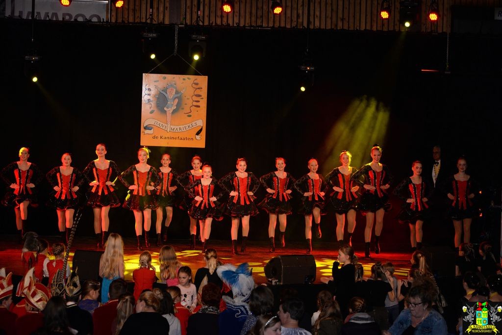 ../Images/Dansmarieke festival 2018 166.jpg